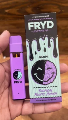 tropical runtz punch fryd