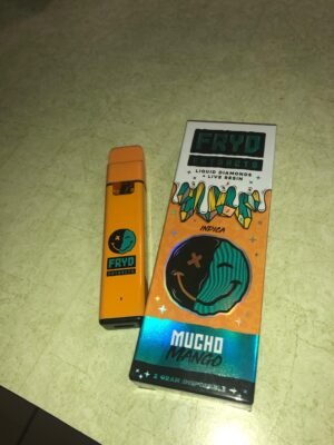 mucho mango fryd disposable​