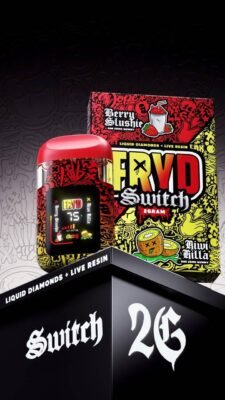 fryd kiwi killa + berry slushie