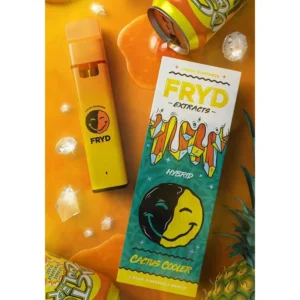 fryd cactus cooler​