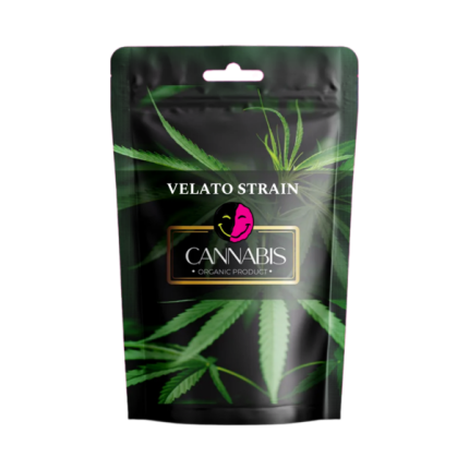 Fryd Exotics Velato Strain Fryd Exotics Velato Strain